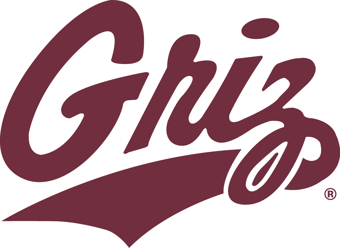 Montana Grizzlies 1996-Pres Secondary Logo 01 iron on paper